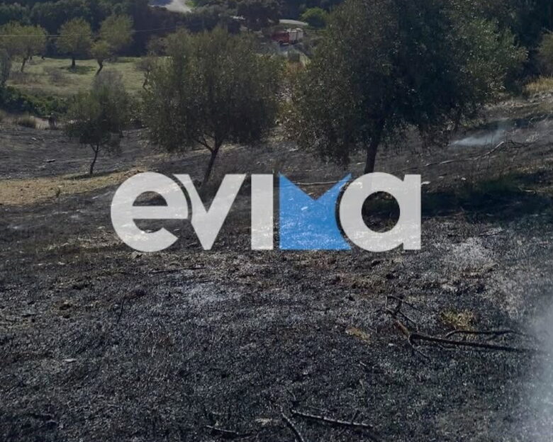 Τραγωδία στην Εύβοια: Νεκρός άντρας εντοπίστηκε σε χωράφι που έπιασε φωτιά – «Είχε πάει να κάψει κλαριά»