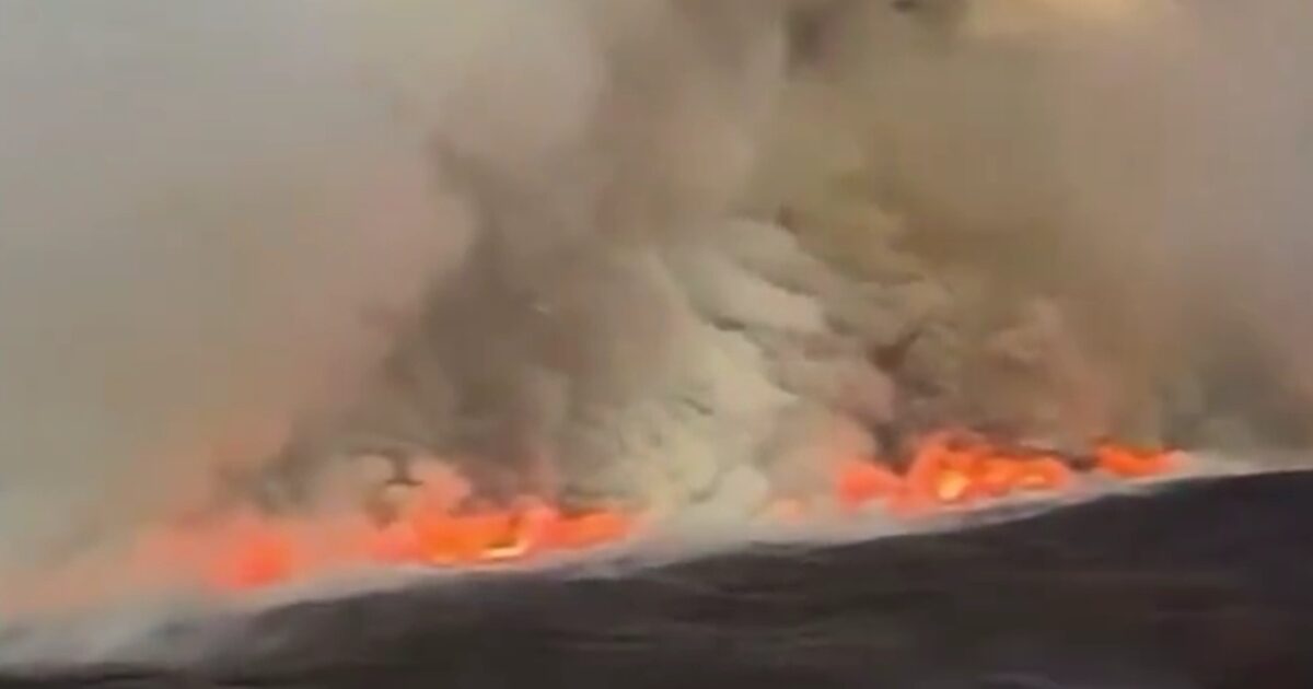 New Zealand: Fiery inferno in national park – Fire reduced 11,000 acres of greenery to ashes