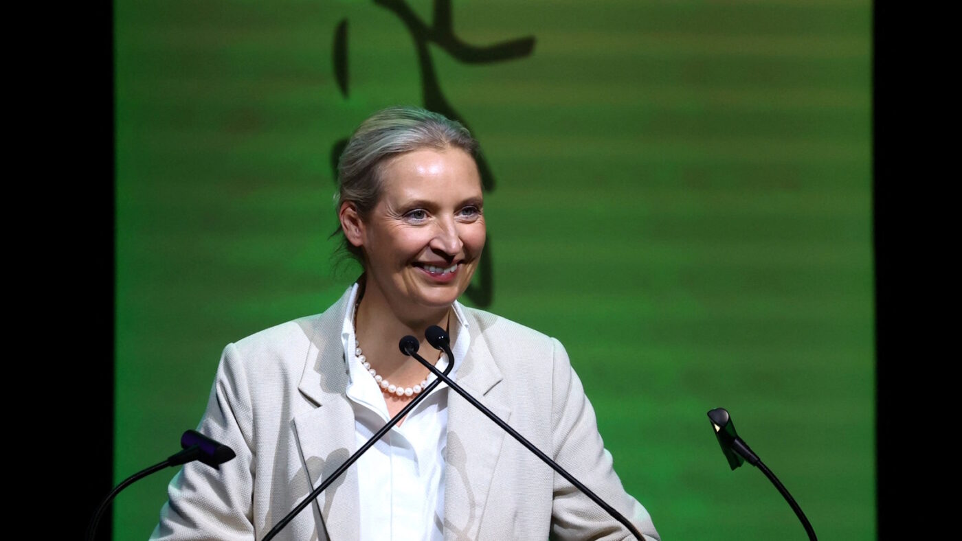 Η επικεφαλής του AfD Αλίς Βάιντελ