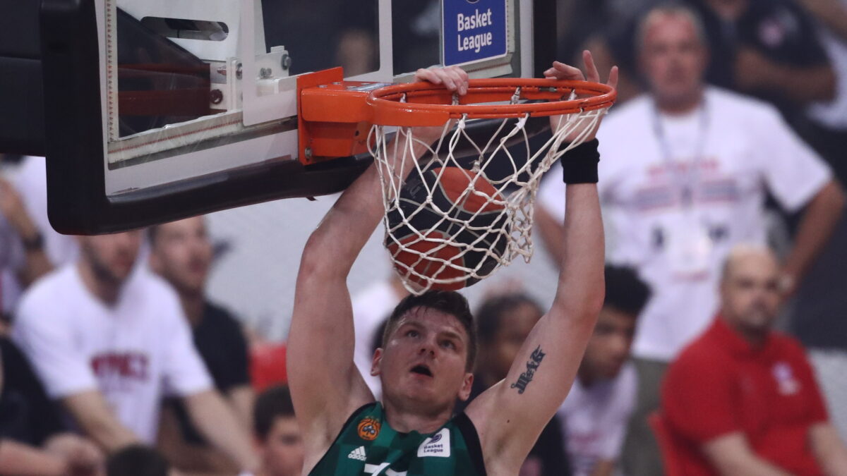 Γκουντάιτις