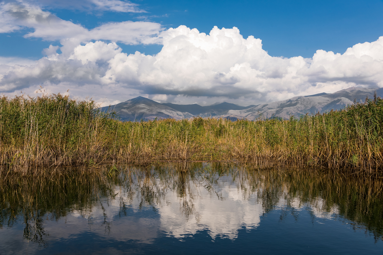View of the shore of the Mikri (Small) Prespa Lake in northern Greece