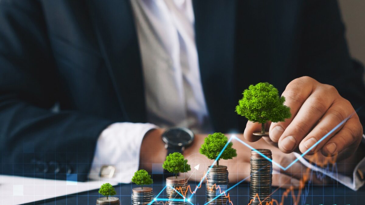 Eco business investment. Green business growth. Businessman holding coin with tree growing on money coin stack. Finance sustainable development.Concept of pass and increase of renewable energy