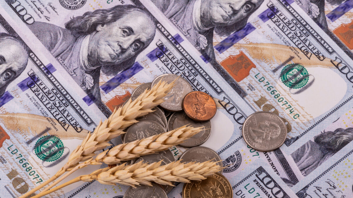 Ripe ears of wheat and American money