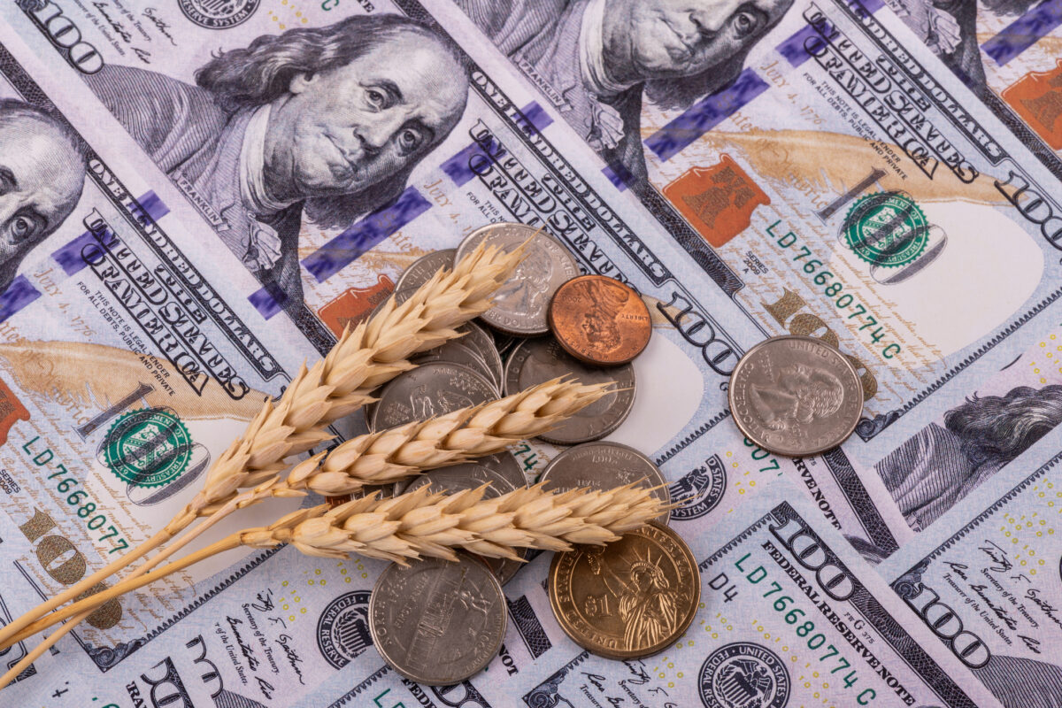 Ripe ears of wheat and American money