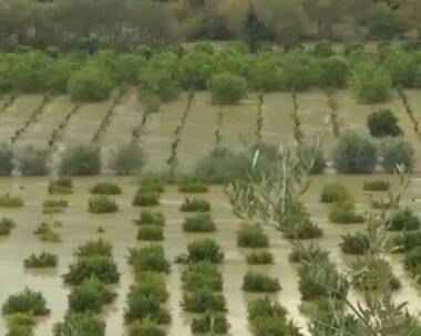 Πλημμυρισμένες καλλιέργειες στη Θεσπρωτία