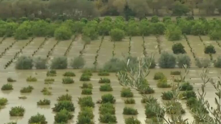 Πλημμυρισμένες καλλιέργειες στη Θεσπρωτία