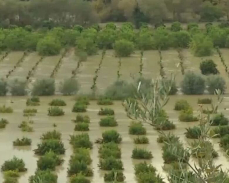 Κακοκαιρία: Χωράφια μετατράπηκαν σε λίμνες από την υπερχείλιση του Καλαμά στη Θεσπρωτία – Ζημιές στην Κέρκυρα, επικίνδυνοι χείμαρροι στα Τζουμέρκα