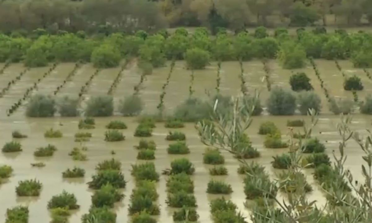 Πλημμυρισμένες καλλιέργειες στη Θεσπρωτία