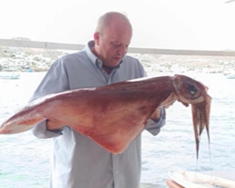 Μύκονος: Δυο τεράστια καλαμάρια 17 κιλών έβγαλε με τα χέρια του από τη θάλασσα κάτοικος