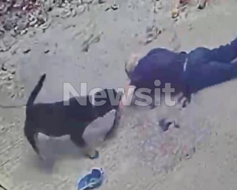 Καλαμάτα: Καρέ καρέ η στιγμή που το ροτβάιλερ αρπάζει τον 76χρονο – Διασωληνωμένος ο ηλικιωμένος, βίντεο από τον αιματοβαμμένο χώρο