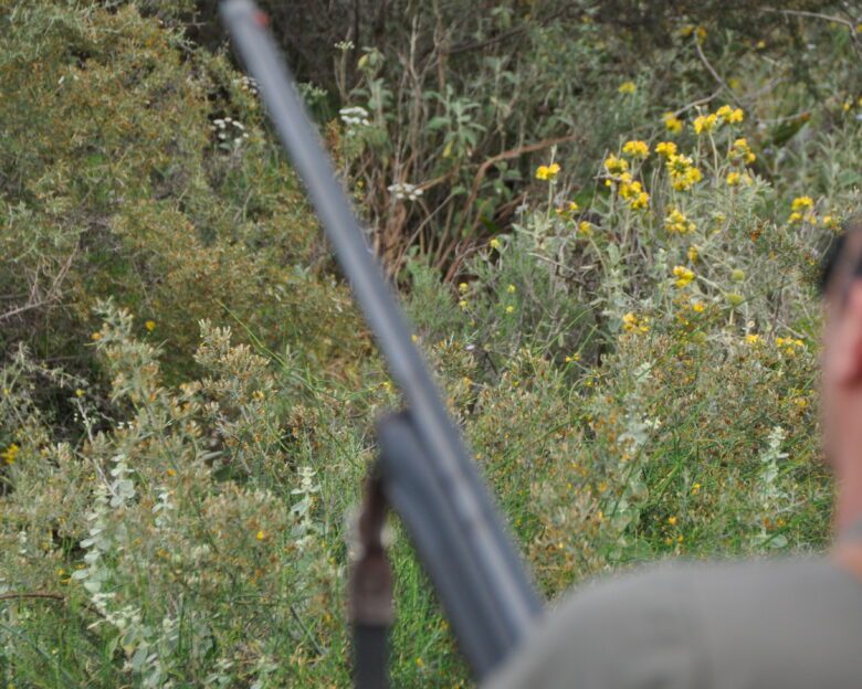 Κρήτη: Πυροβόλησαν από το παράθυρο 60χρονο την ώρα που κοιμόταν στη Μεσαρά