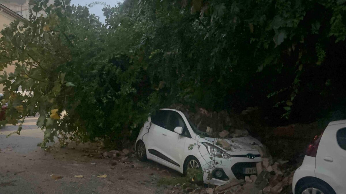 Δέντρο καταπλάκωσε αυτοκίνητο