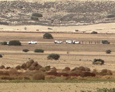 Στρατιωτικά οχήματα μέσα σε χωράφια