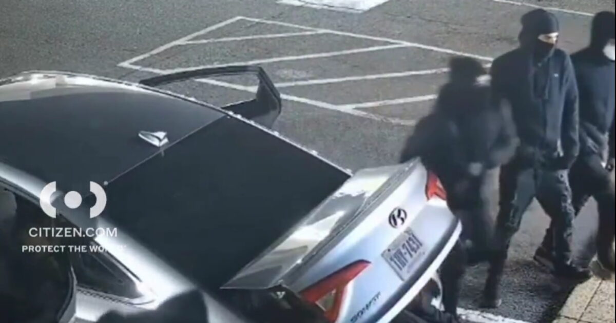 Virginia: The 9 Masked Thieves Who Got Out of a Car to Hit a Mall – How They All Got Away