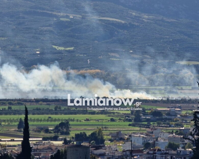 Λαμία: Διακόπηκε η κυκλοφορία στον Ε65 εξαιτίας φωτιάς που προκάλεσε τροχαίο – Τούμπαρε αυτοκίνητο