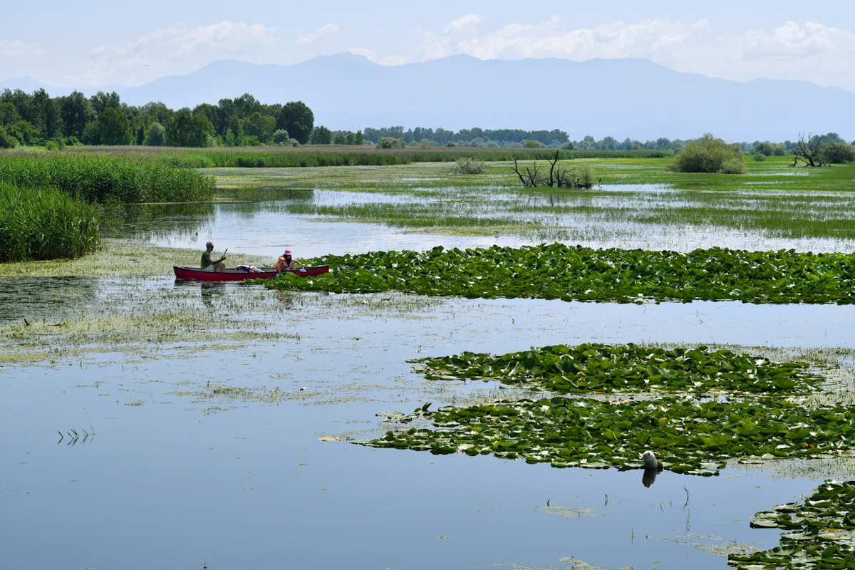 Δύο άνθρωποι κάνουν κανό στη Λίμνη Κερκίνη