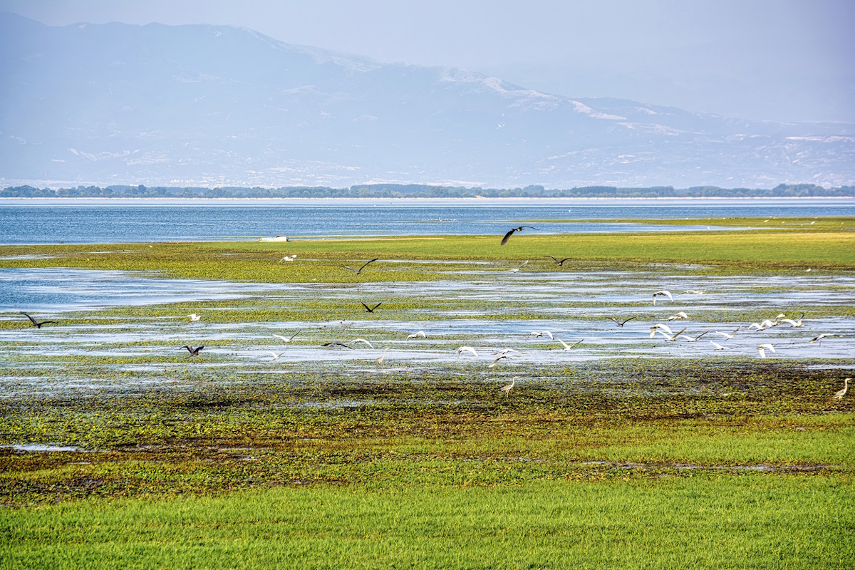 Λίμνη Κερκίνη