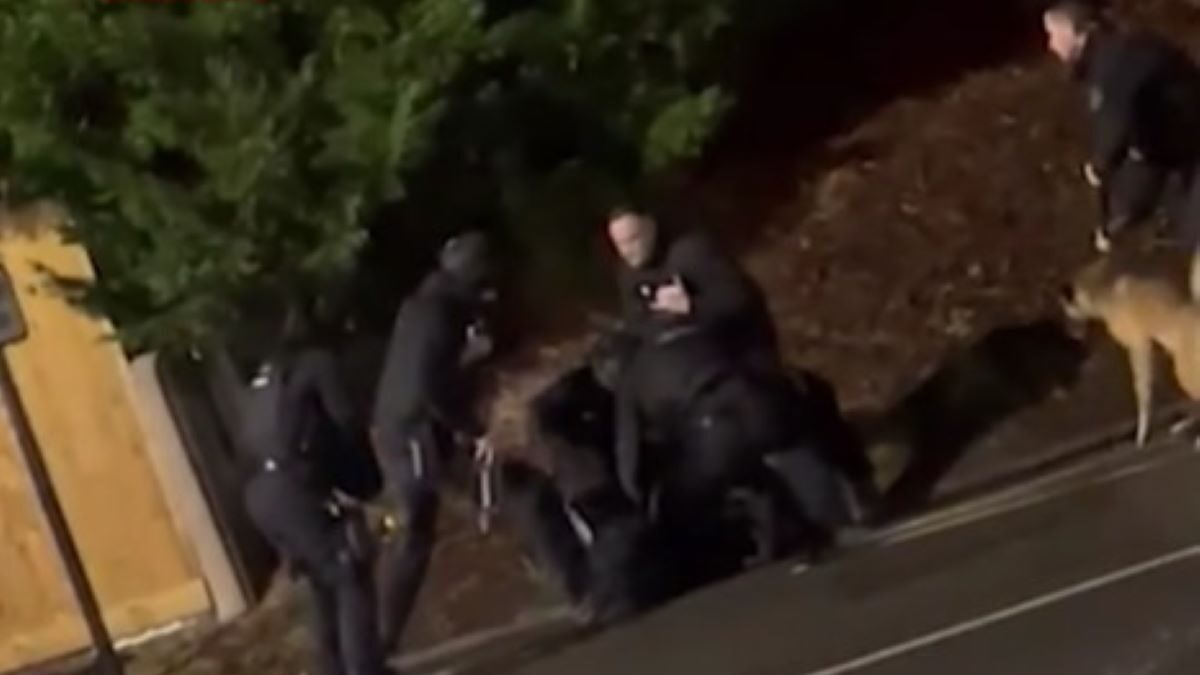 Βρετανία: Αστυνομικοί χτυπούν με teaser έναν από τους συλληφθέντες για την επίθεση με μαχαίρι σε τρένο