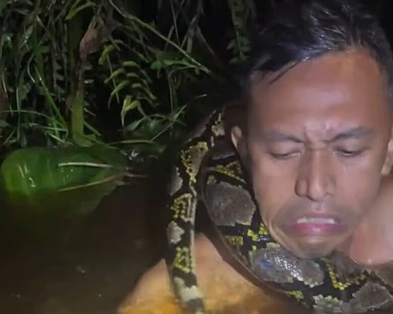 Ινδονησία: Η στιγμή που πύθωνας αρπάζει από τον λαιμό ξεναγό μέσα στο νερό – Δείτε το βίντεο