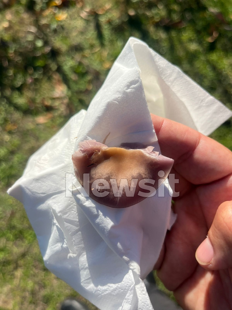 Τα δηλητηριώδη μανιτάρια