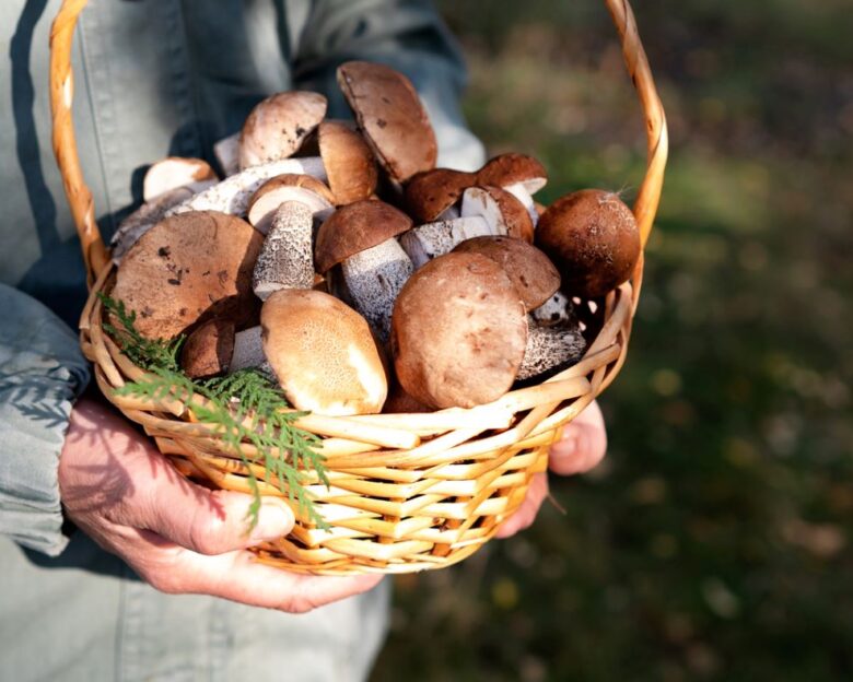 Στην Ιταλία για μεταμόσχευση θα μεταφερθεί μέσα στην ημέρα το ζευγάρι που δηλητηριάστηκε από μανιτάρια στην Έδεσσα
