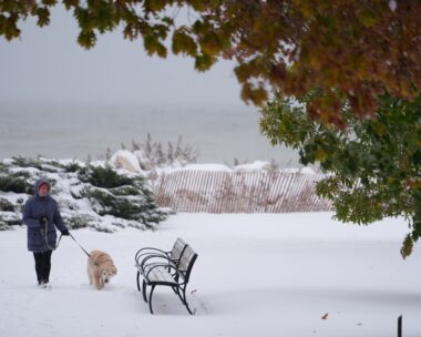Κύμα ψύχους στο Μίτσιγκαν