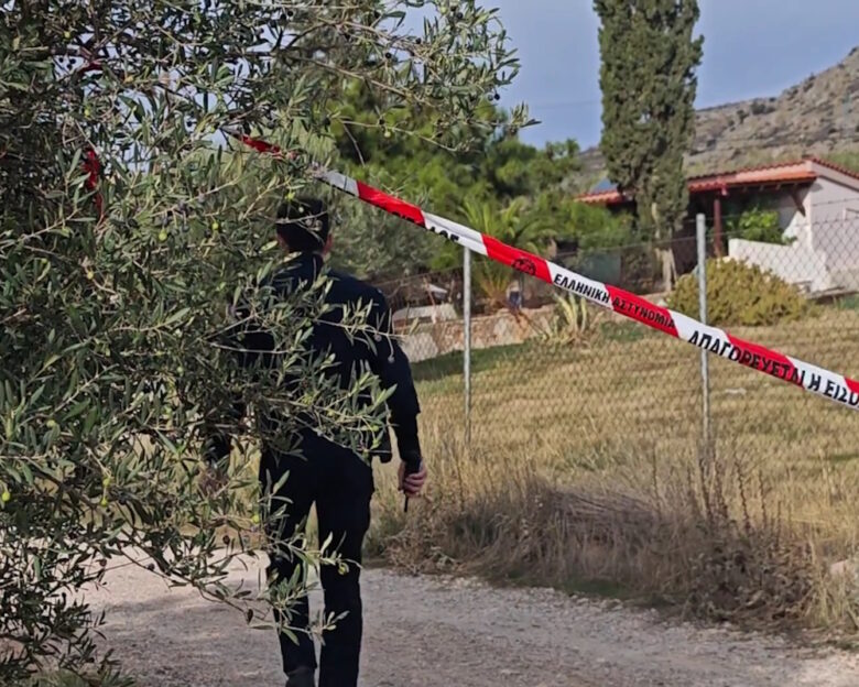 Νέα Πέραμος: «Τον είχε πνίξει, έλεγε ότι αν πάει σπίτι θα τον σκοτώσει» – Το βίαιο παρελθόν πίσω από την αδελφοκτονία