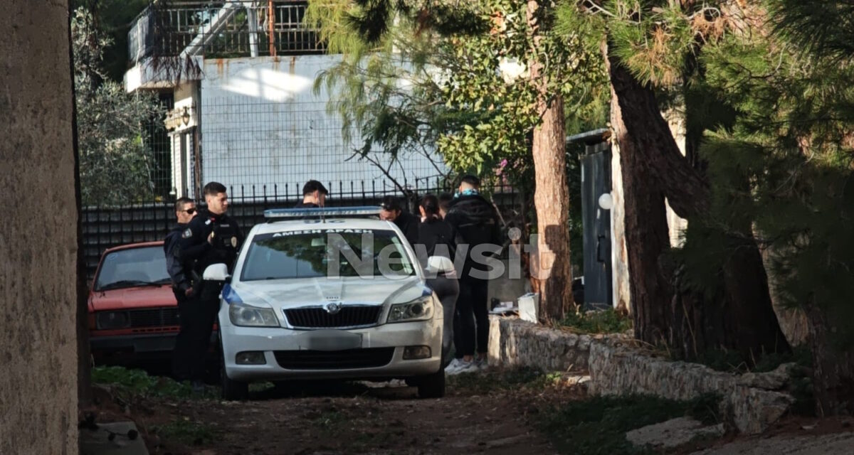 Αστυνομικοί