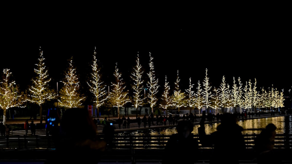 Σταύρο Νιάρχος