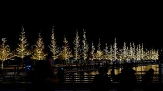 Σταύρο Νιάρχος