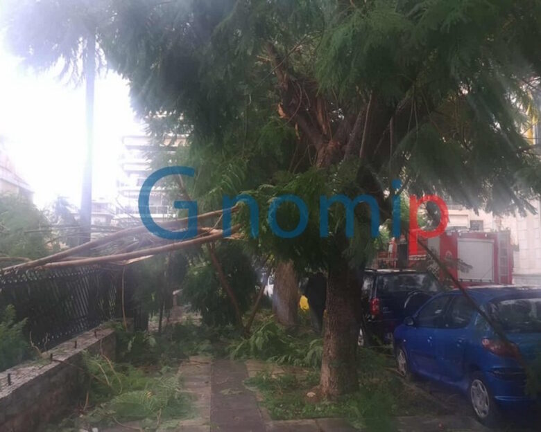 Πάτρα: Ανεμοστρόβιλος «σάρωσε» το κέντρο – Δέντρα ξεριζώθηκαν και καταπλάκωσαν αυτοκίνητα και καγκελόπορτες