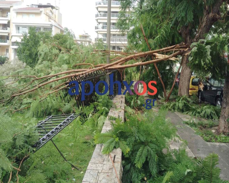 Πάτρα: Ανεμοστρόβιλος «σάρωσε» το κέντρο – Δέντρα ξεριζώθηκαν και καταπλάκωσαν αυτοκίνητα και καγκελόπορτες