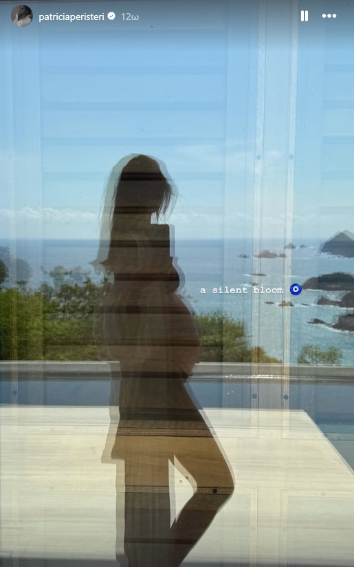 Η ανάρτηση της Πατρίτσια Μίλικ Περιστέρη