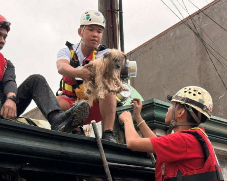 Φιλιππίνες: Ο τυφώνας Καλμάγκι προκαλεί φονικές πλημμύρες και καταστροφές – Οι δρόμοι μετατράπηκαν σε ποτάμια