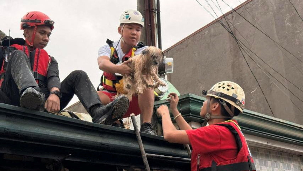 Διασώστες στις Φιλιππίνες μετά το πέρασμα του τυφώνα