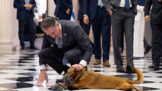 Άνδρας χαϊδεύει σκύλο