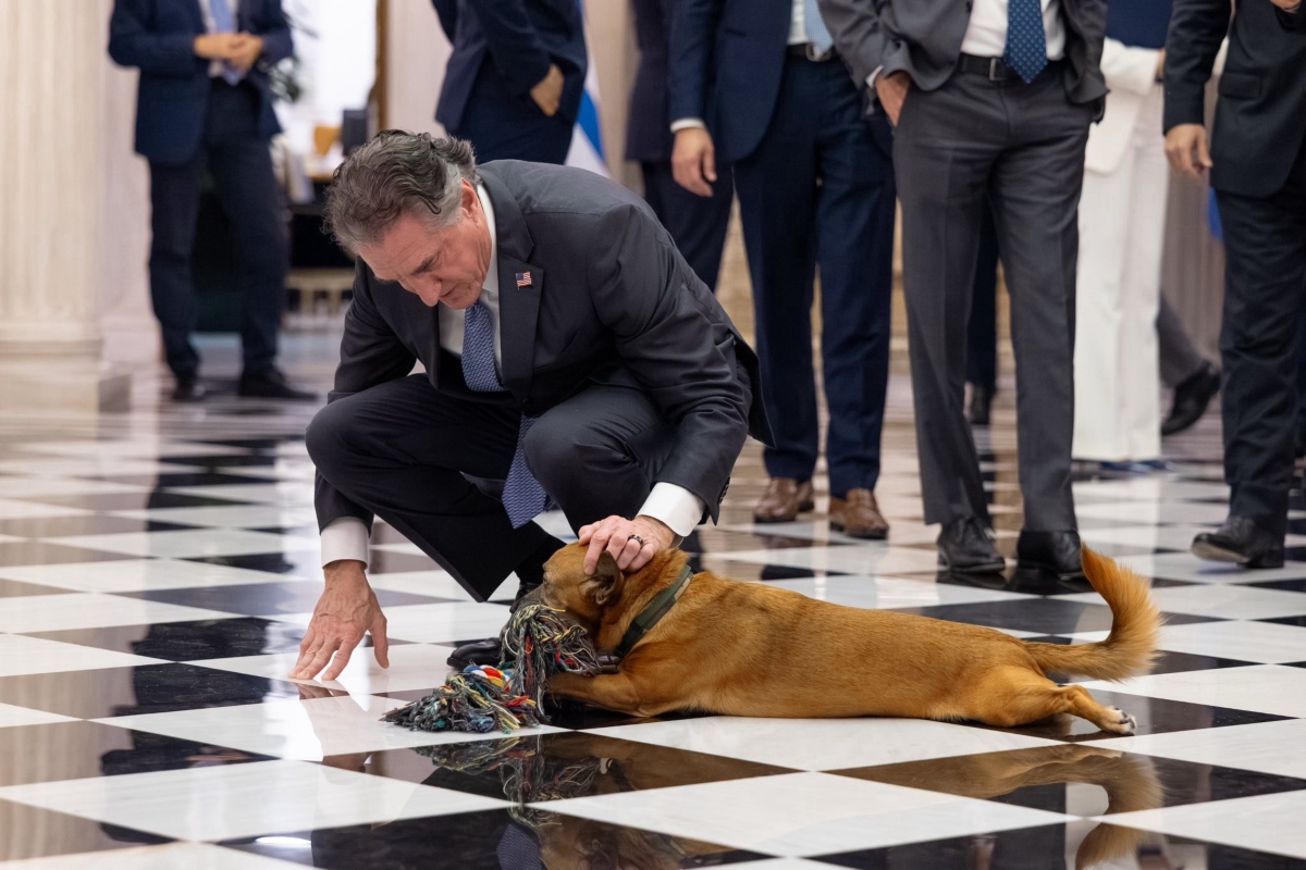 Άνδρας χαϊδεύει σκύλο