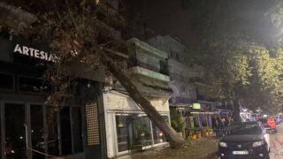 Πεσμένο δέντρο σε μαγαζί