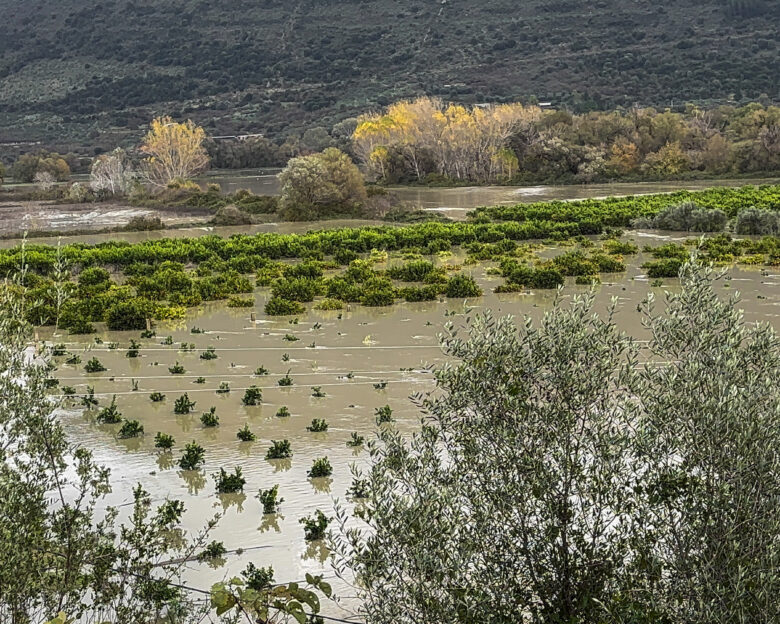 Καιρός: Ισχυρές καταιγίδες μέχρι το βράδυ – Γραμμή λαίλαπας 200 χλμ σε Λευκάδα, Πρέβεζα, Θεσπρωτία και Γιάννενα