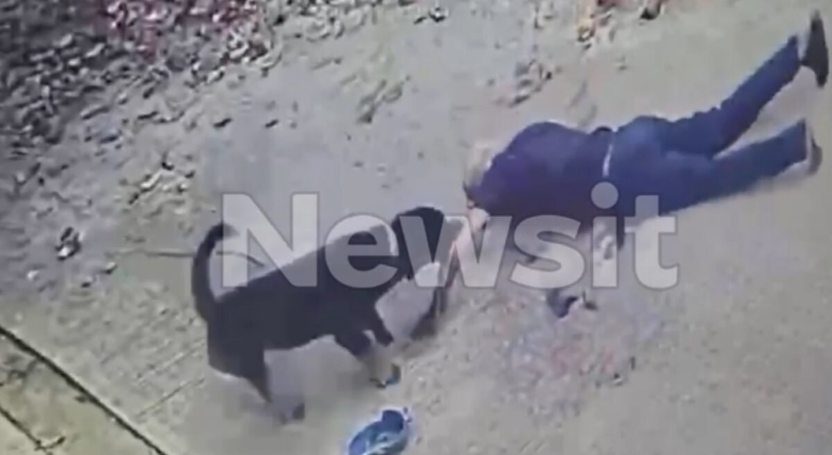 Η σοκαριστική στιγμή της επίθεσης