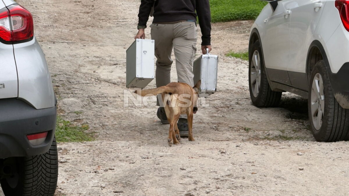 Δολοφονία στη Σαλαμίνα