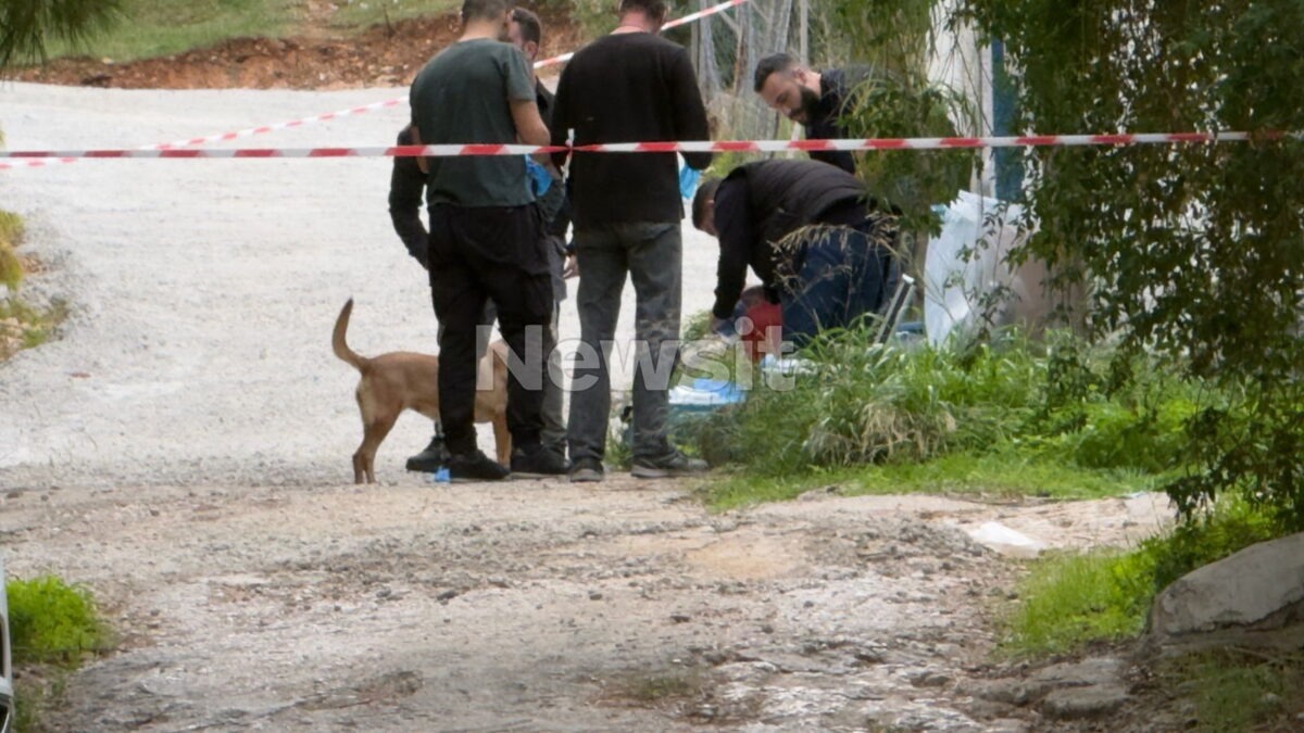 Κλιμάκιο του Ανθρωποκτονιών