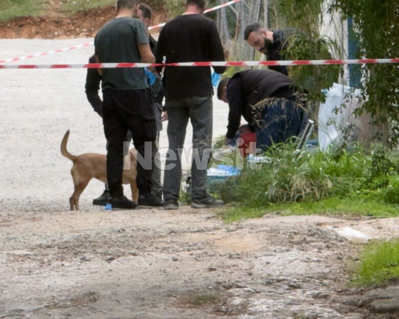 Σαλαμίνα: Με μαχαιριές στα χέρια η 75χρονη που δολοφόνησαν μέσα στο σπίτι της – Oι ληστές πίστευαν ότι απουσίαζε