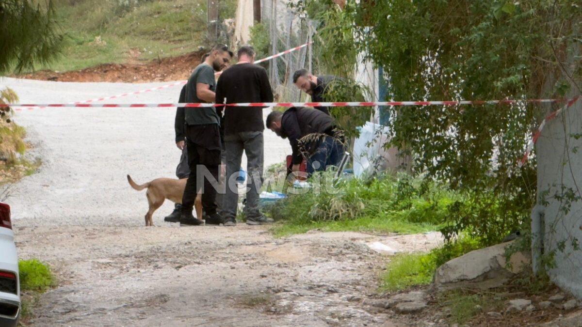 Δολοφονία στη Σαλαμίνα