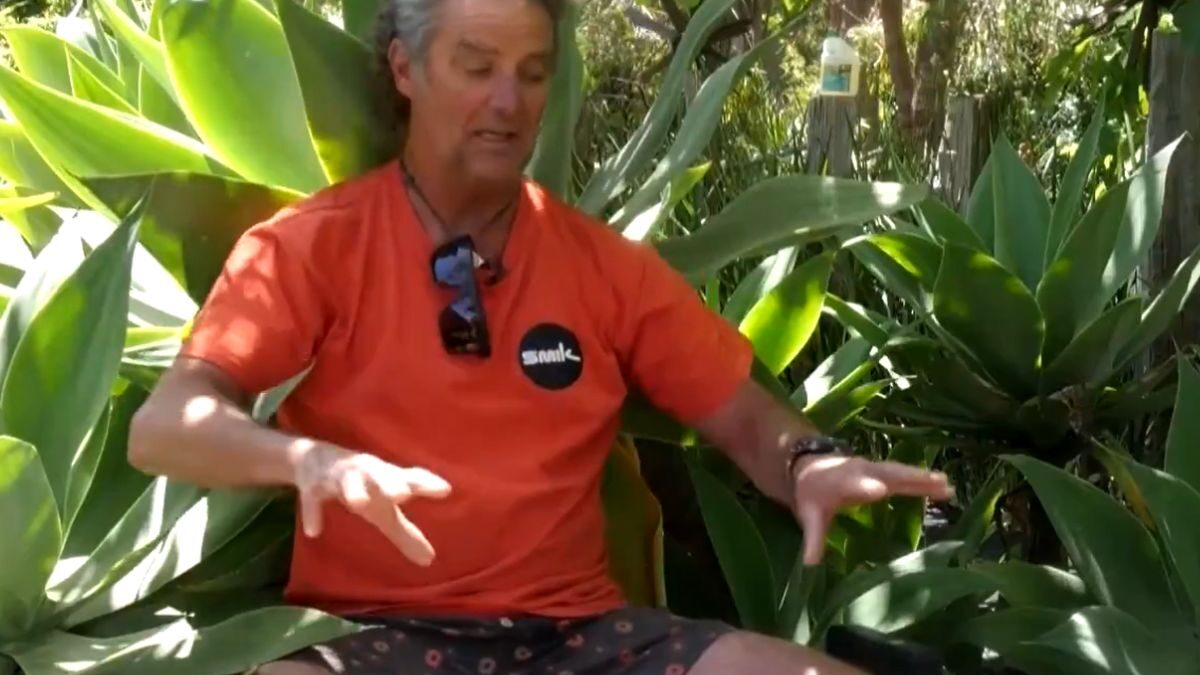 Ο 61χρονος σέρφερ Άντι ΜακΝτόναλντ