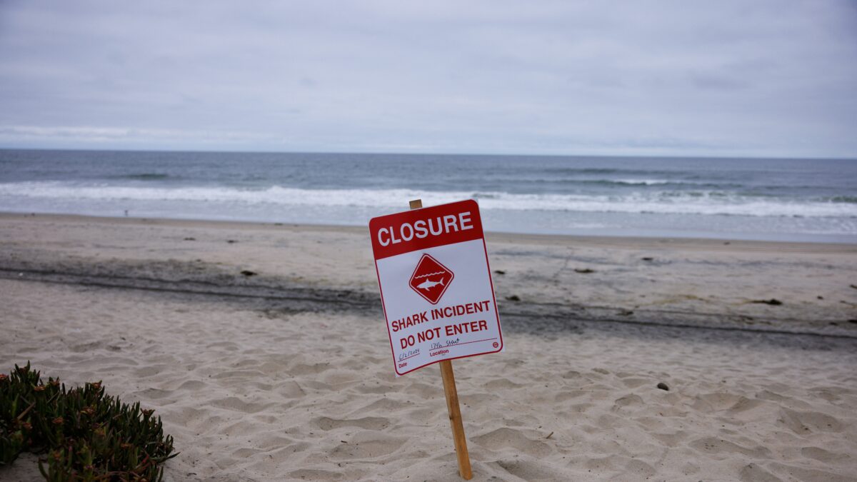 Κλειστή παραλία λόγω καρχαρία