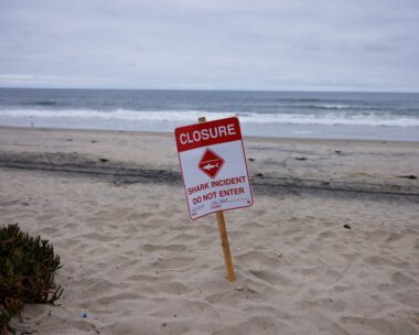 Κλειστή παραλία λόγω καρχαρία