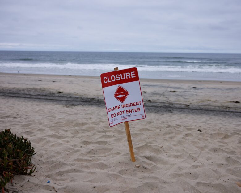 Αυστραλία: Μια νεκρή και ένας σοβαρά τραυματίας μετά από επίθεση καρχαρία
