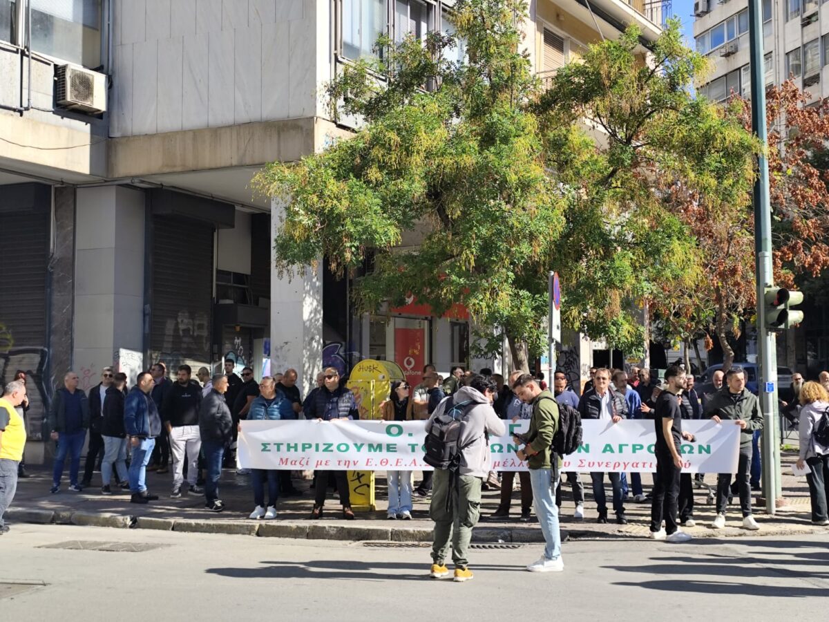 sillalitirio agrotes