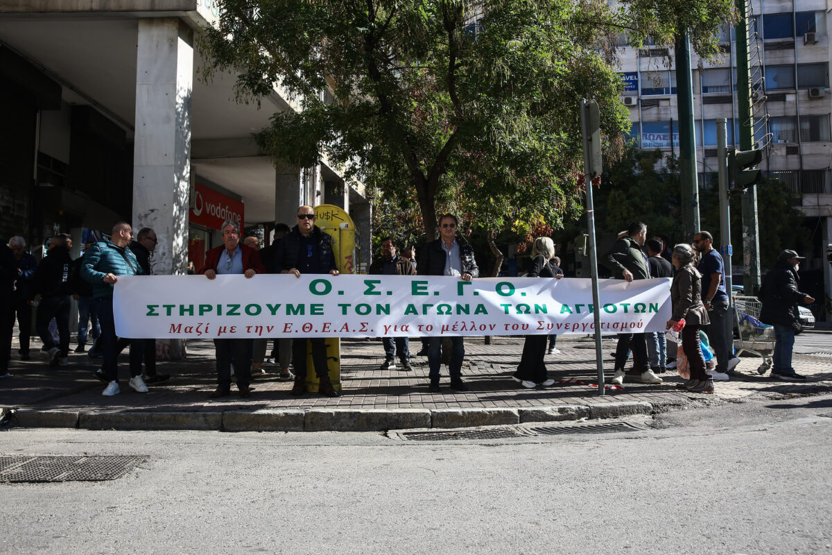 (ΔΑΝΑΗ ΔΑΥΛΟΠΟΥΛΟΥ